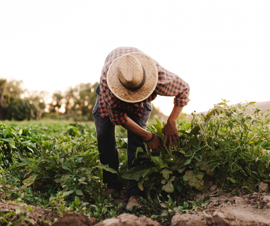 WI Farmers Union calls for immigration reform amid labor uncertainty